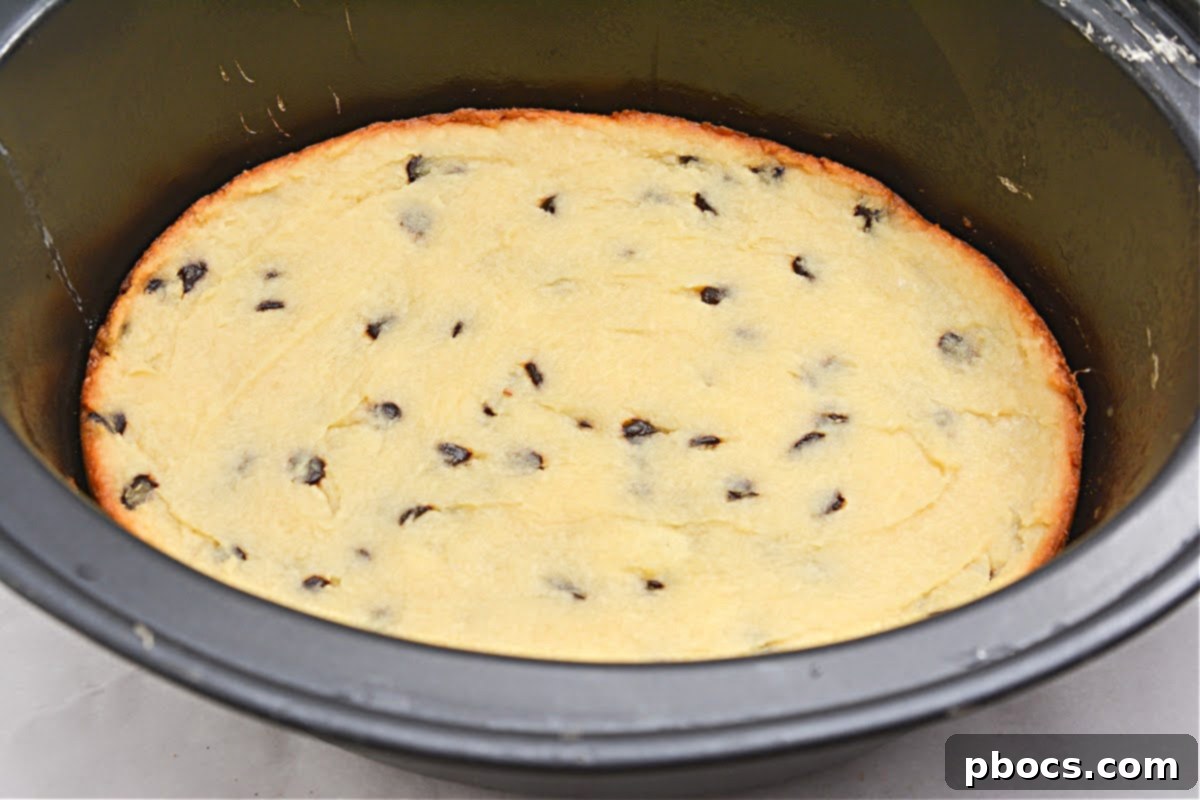 Keto Crockpot Chocolate Chip Cake
