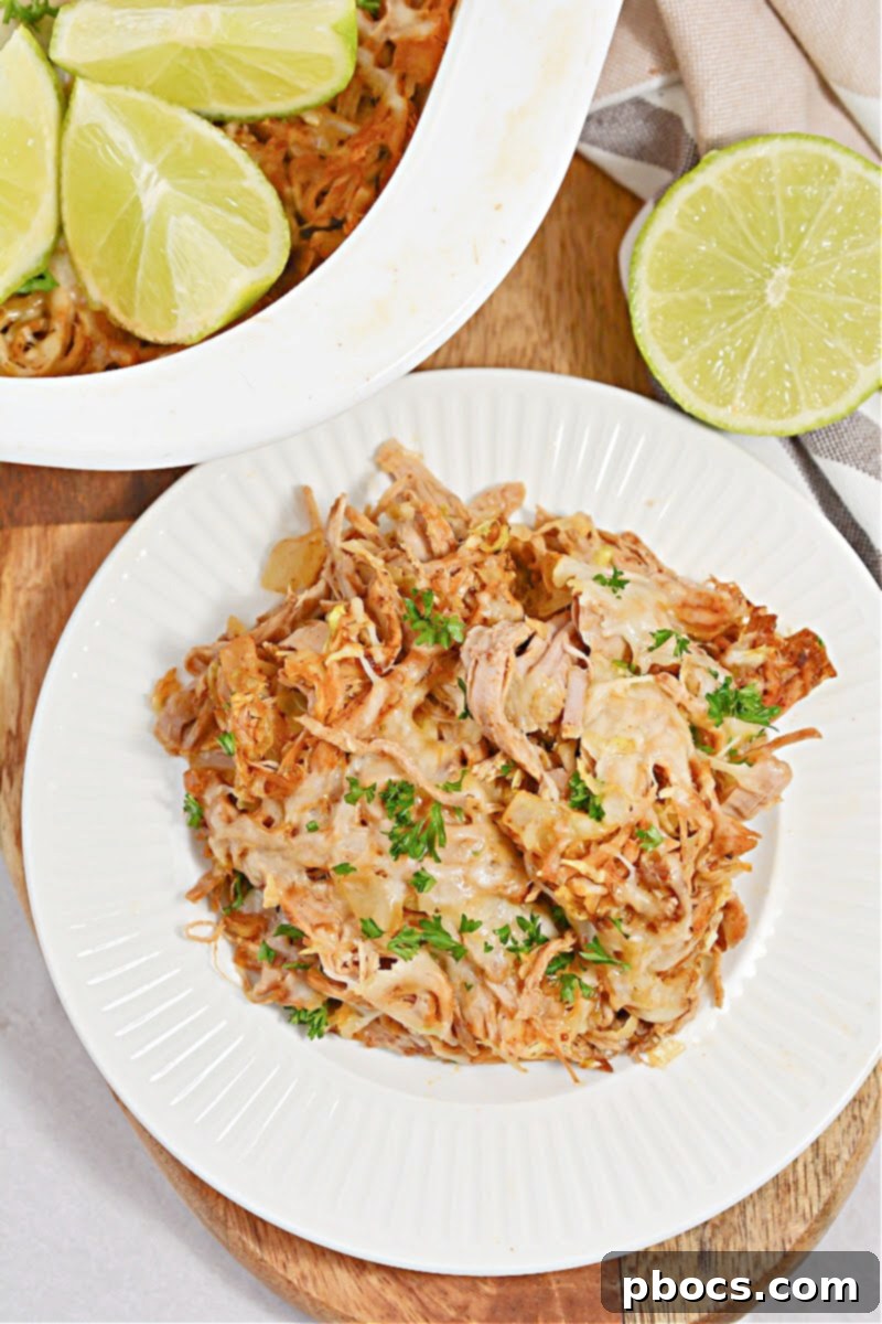 Keto Fiesta Pulled Pork Taco Casserole 3 Close-up of tender, spiced Mexican Pulled Pork for Casserole