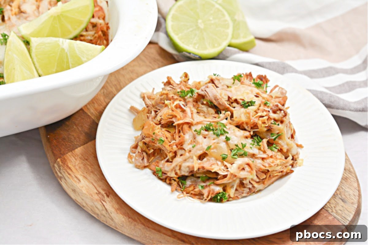 Keto Fiesta Pulled Pork Taco Casserole 7 Array of Keto Mexican side dishes with the pulled pork casserole