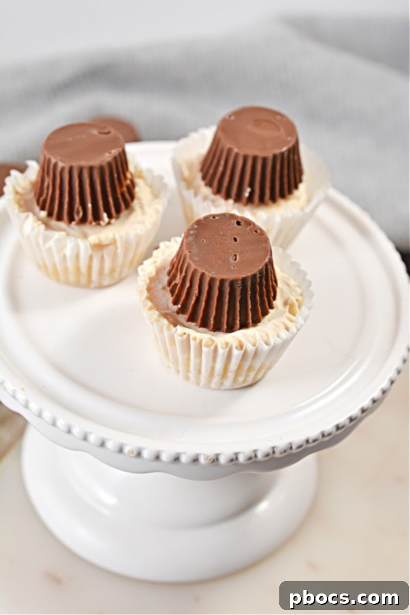 No-Bake Keto Peanut Butter Cups - Creamy Cheesecake Layer