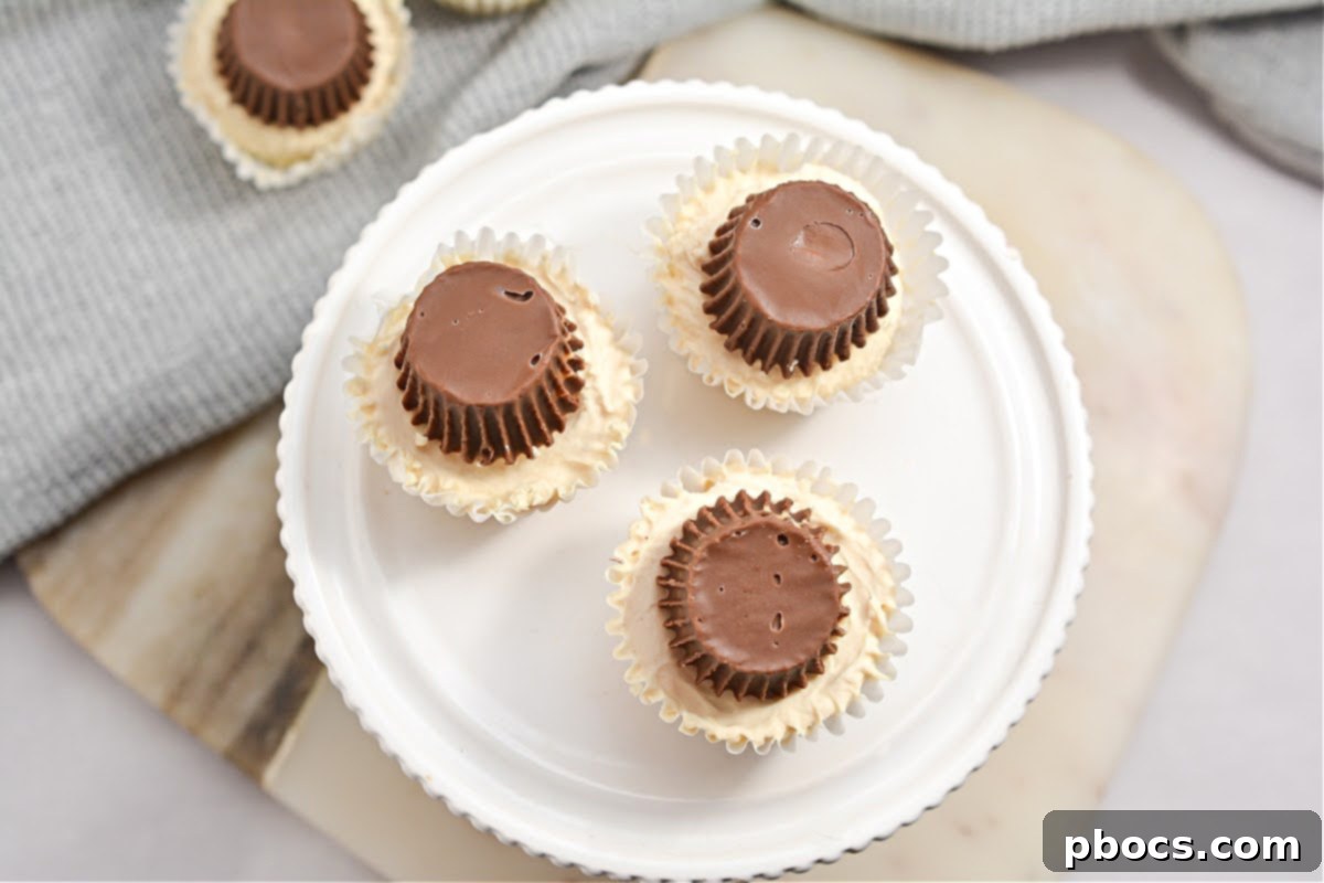 Low Carb No-Bake Peanut Butter Cups Macro Friendly
