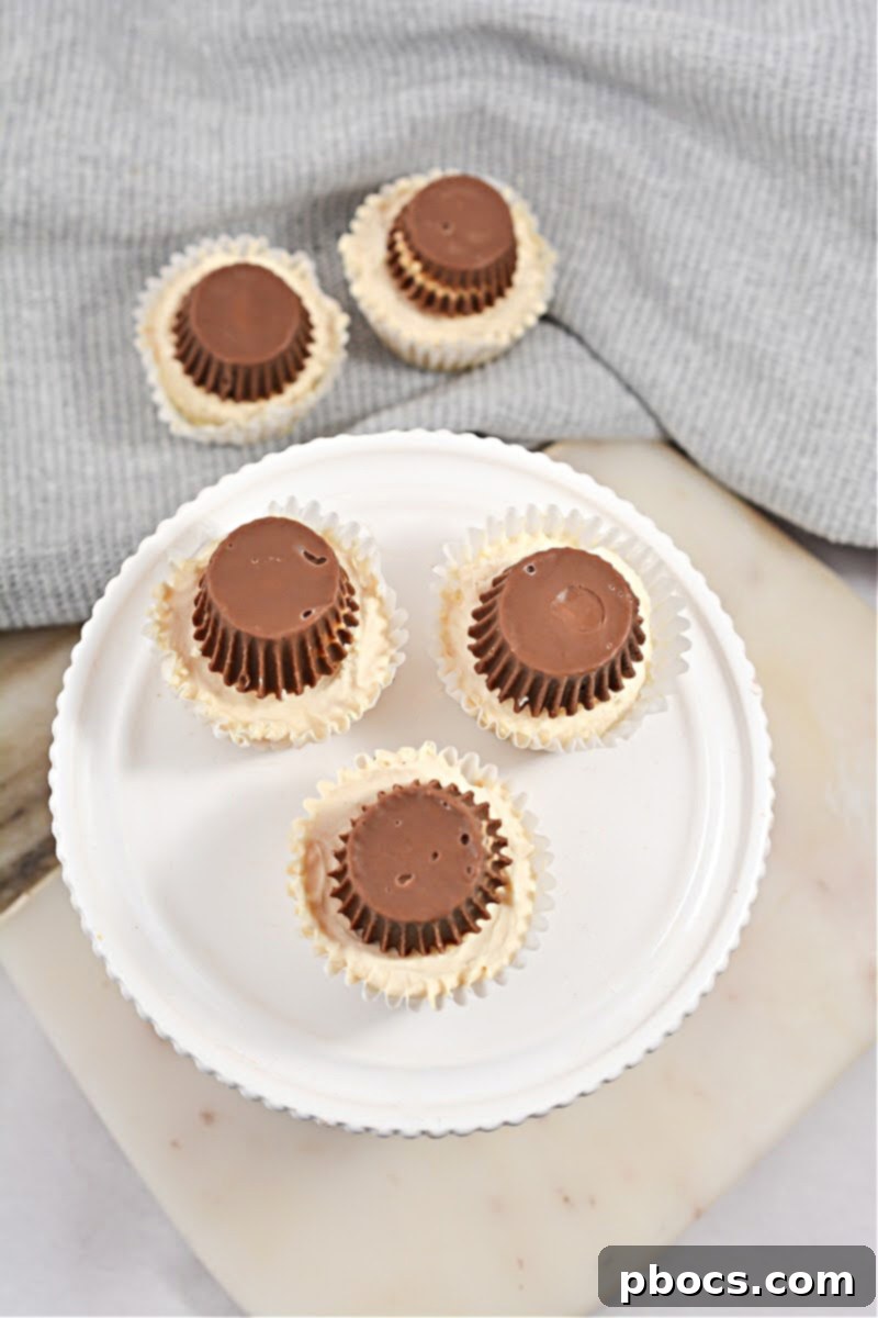 Easy No-Bake Keto Peanut Butter Cups Recipe