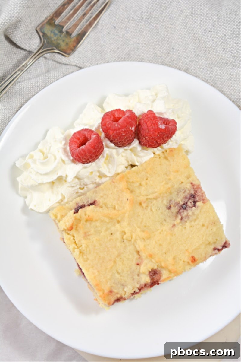 Delicious and healthy Keto Raspberry Swirl Cake Bars with sugar-free jam, perfect for parties and low-carb diets.