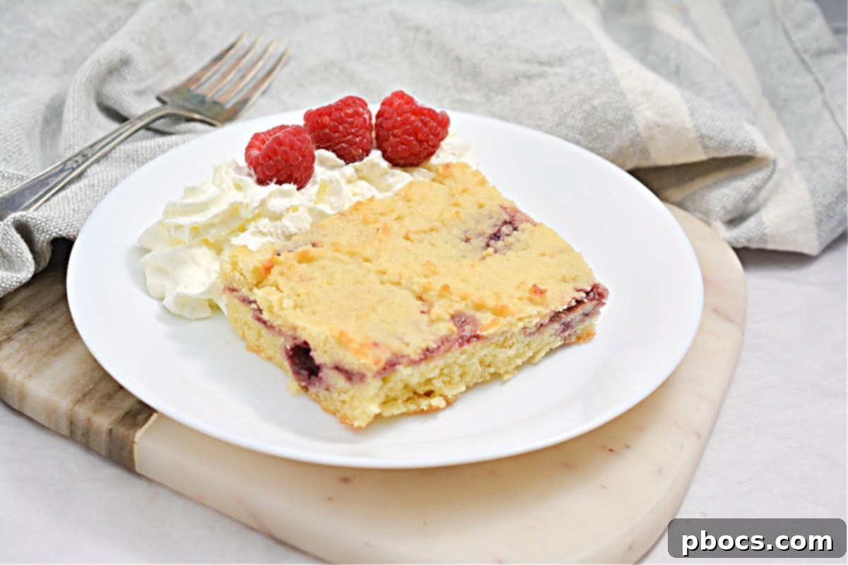 Close-up of freshly baked Keto Raspberry Swirl Cake Bars, showcasing the vibrant raspberry swirls.