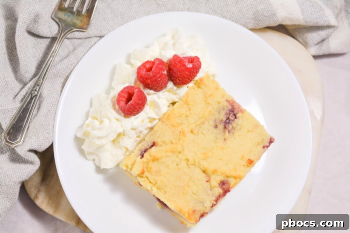 Side view of Keto Raspberry Swirl Cake Bars, showing layers and swirls.