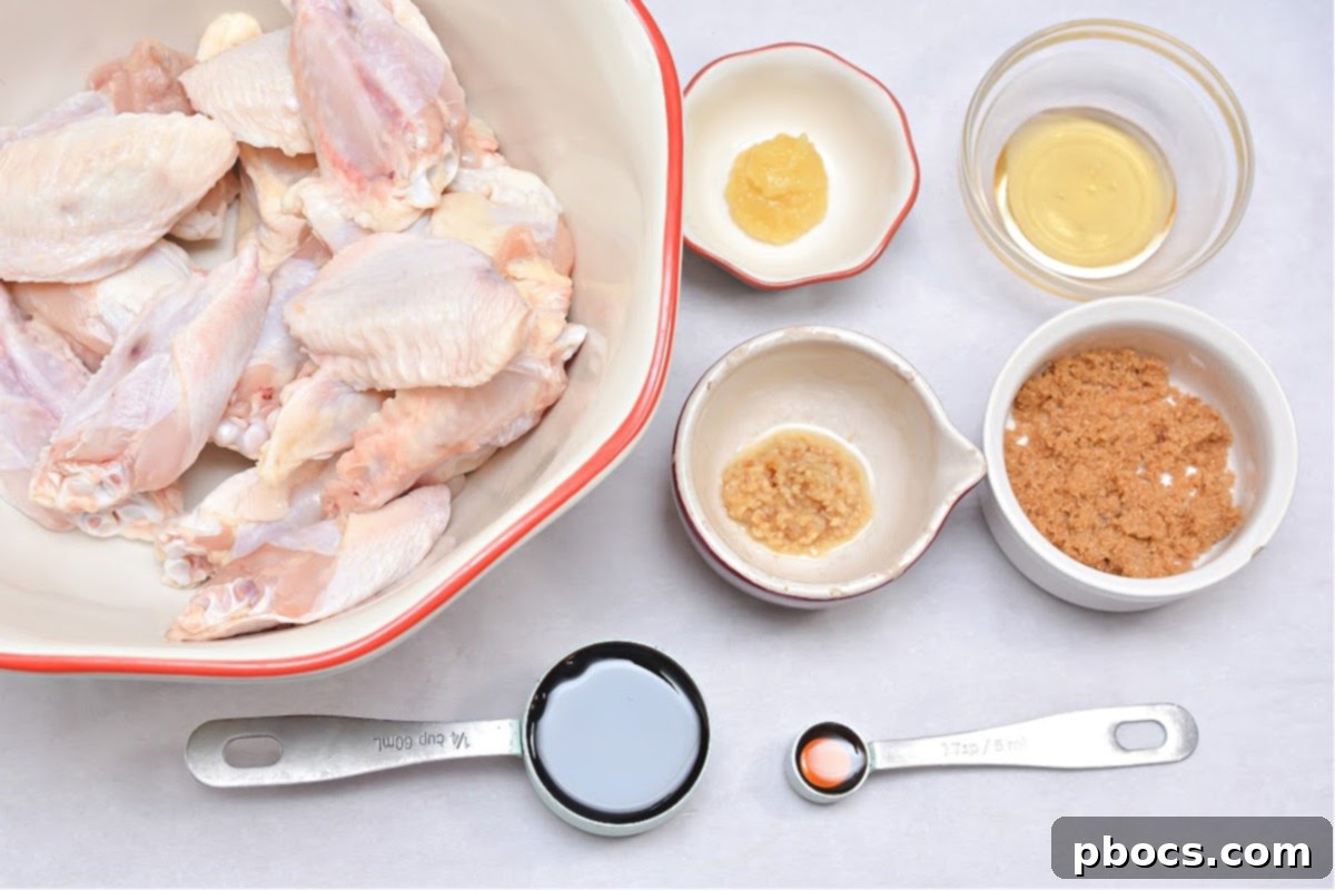 Keto Korean BBQ Chicken Wings - Close-up of a single wing with sauce