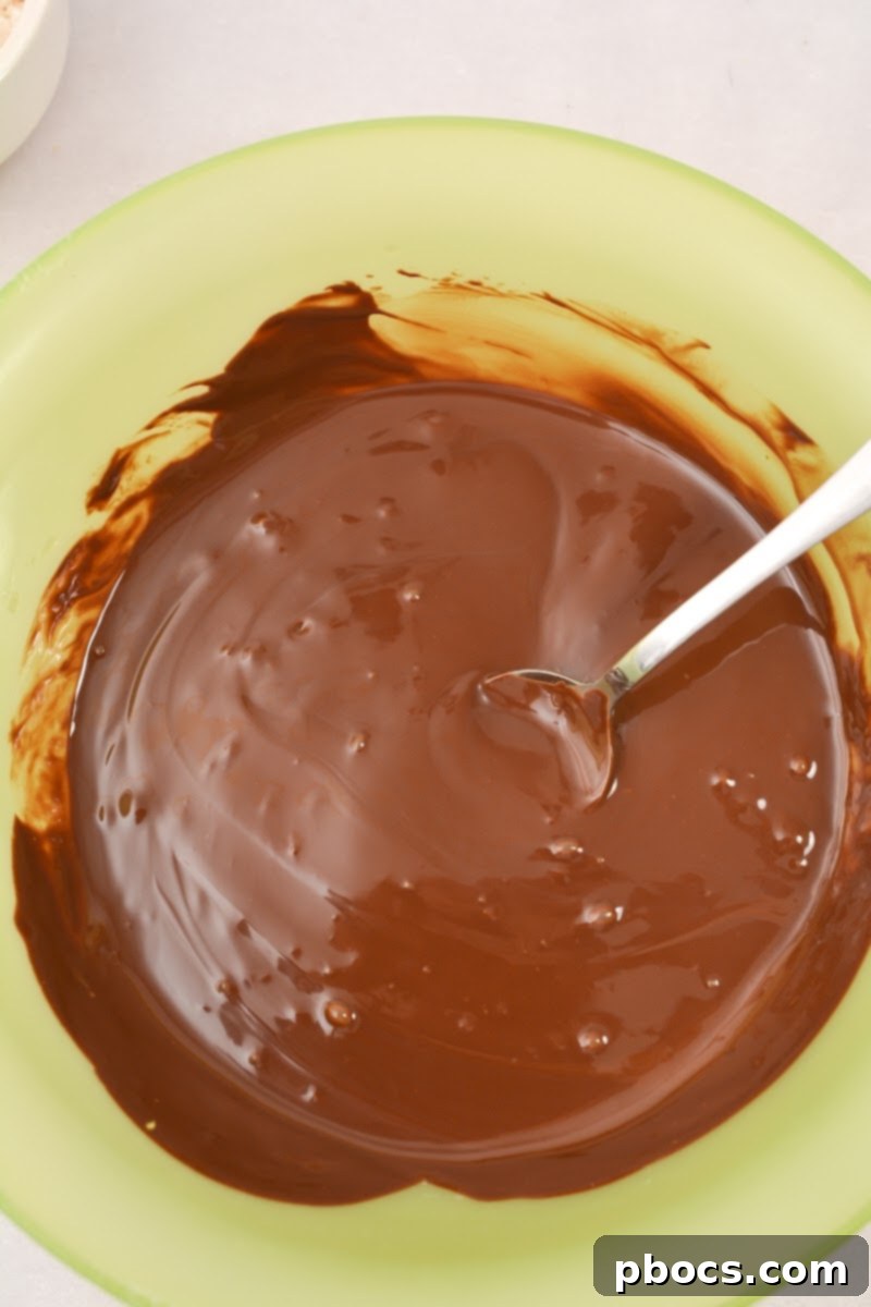 Melting Sugar-Free Chocolate Chips