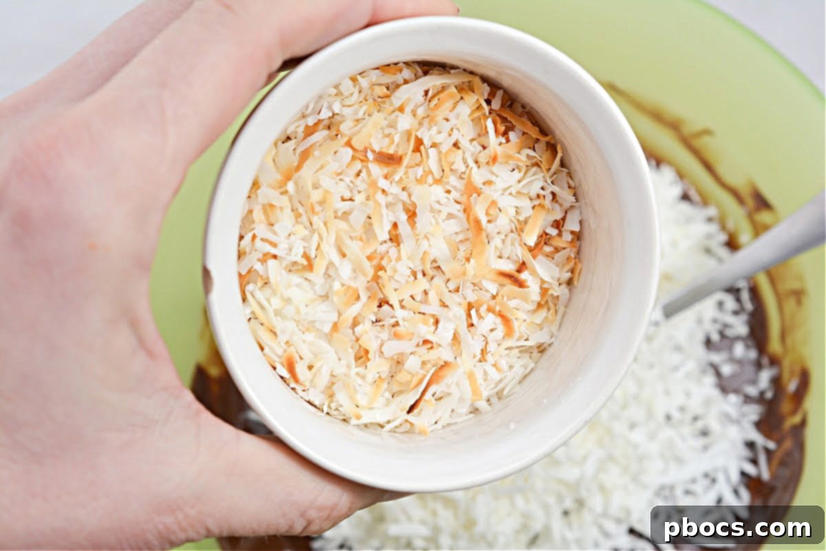 Coconut Chocolate Mixture