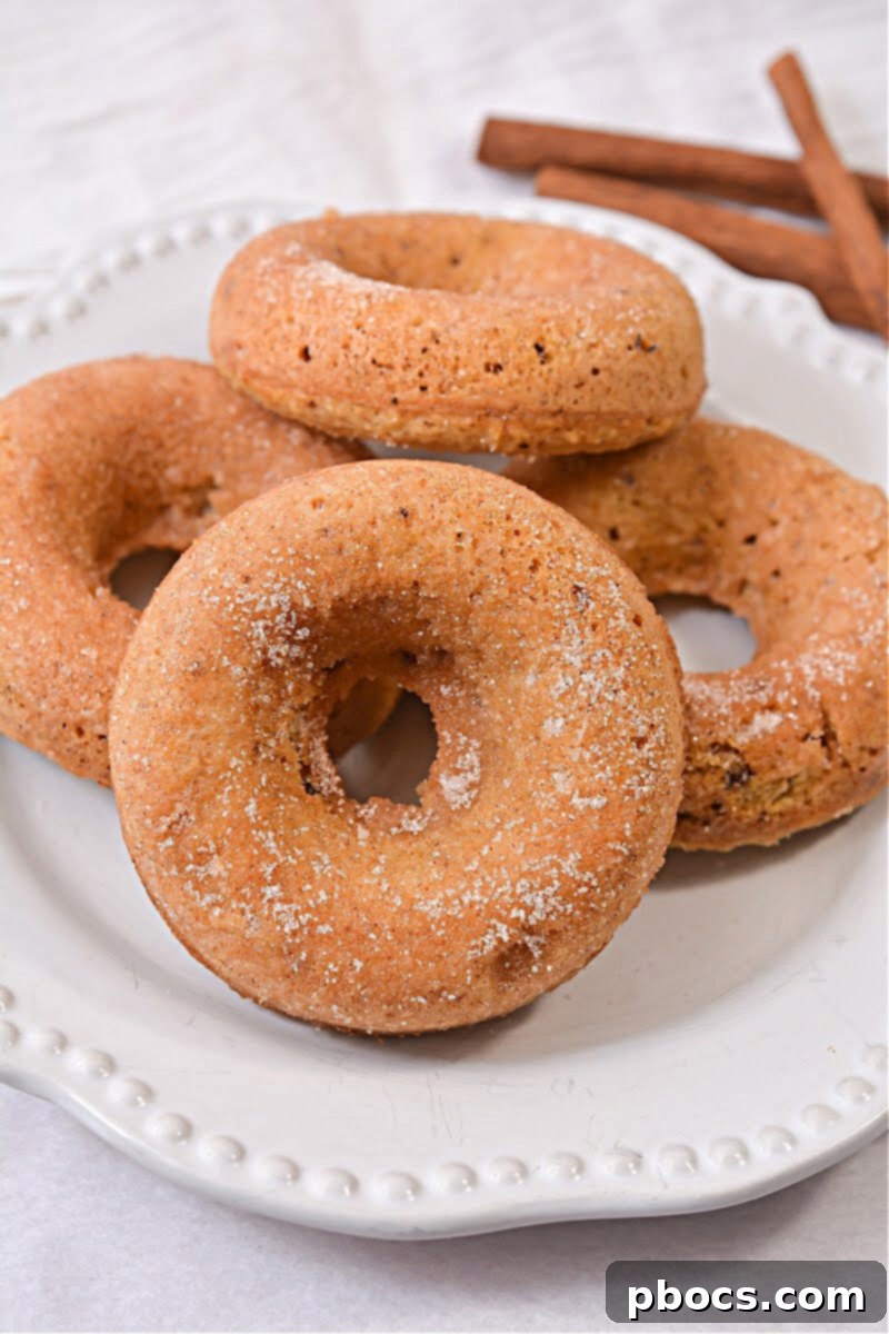 Keto Pancake Mix Cinnamon Donuts