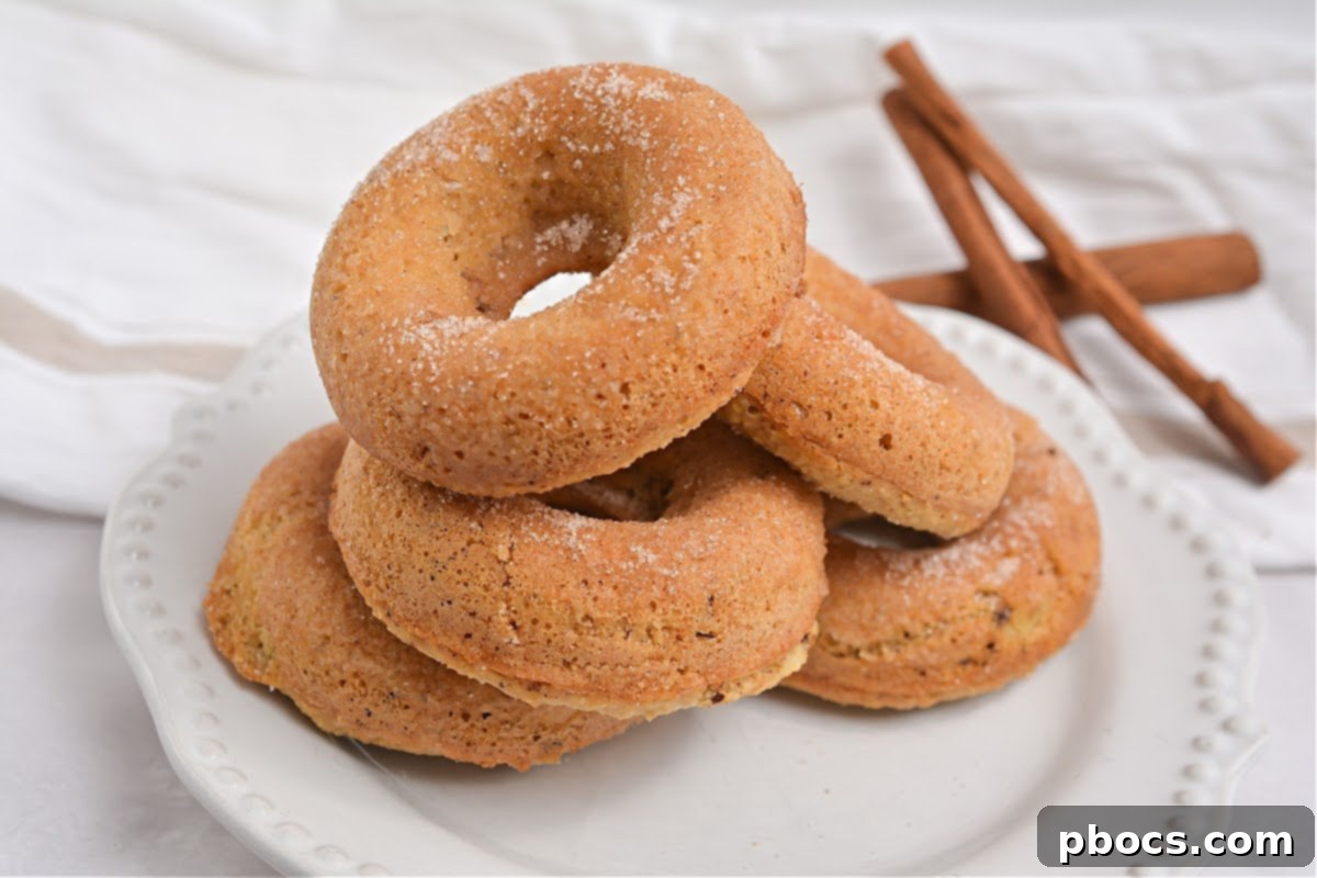 Keto Pancake Mix Cinnamon Donuts