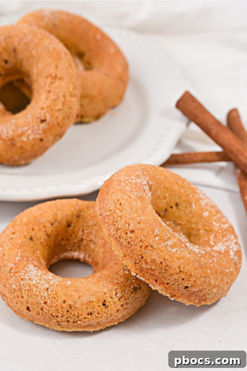 Keto Pancake Mix Cinnamon Donuts