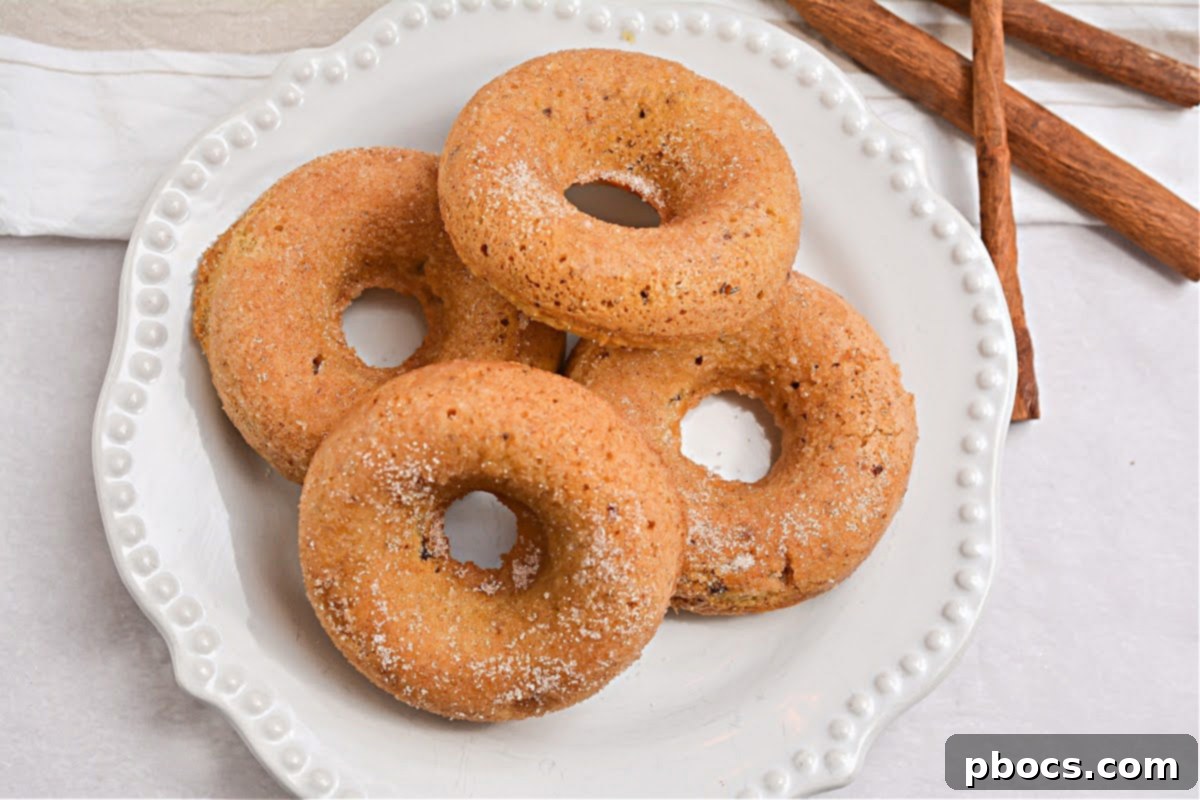 Keto Pancake Mix Cinnamon Donuts