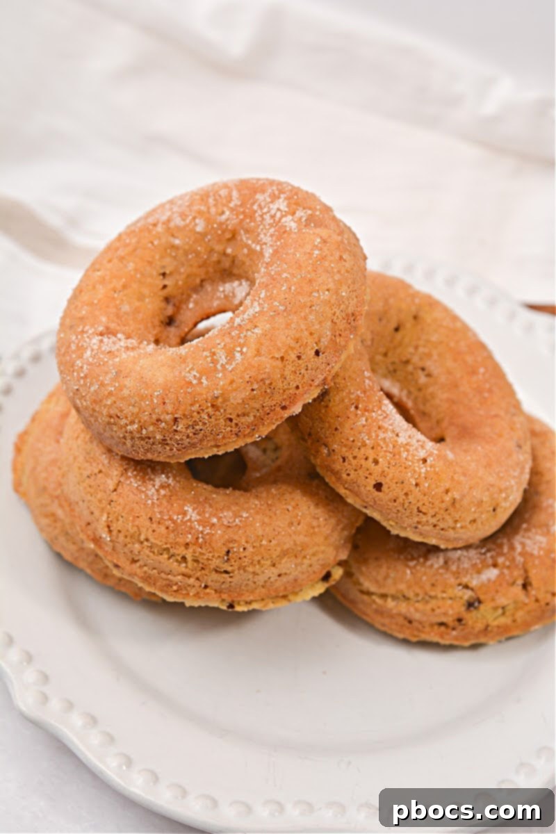 Keto Pancake Mix Cinnamon Donuts