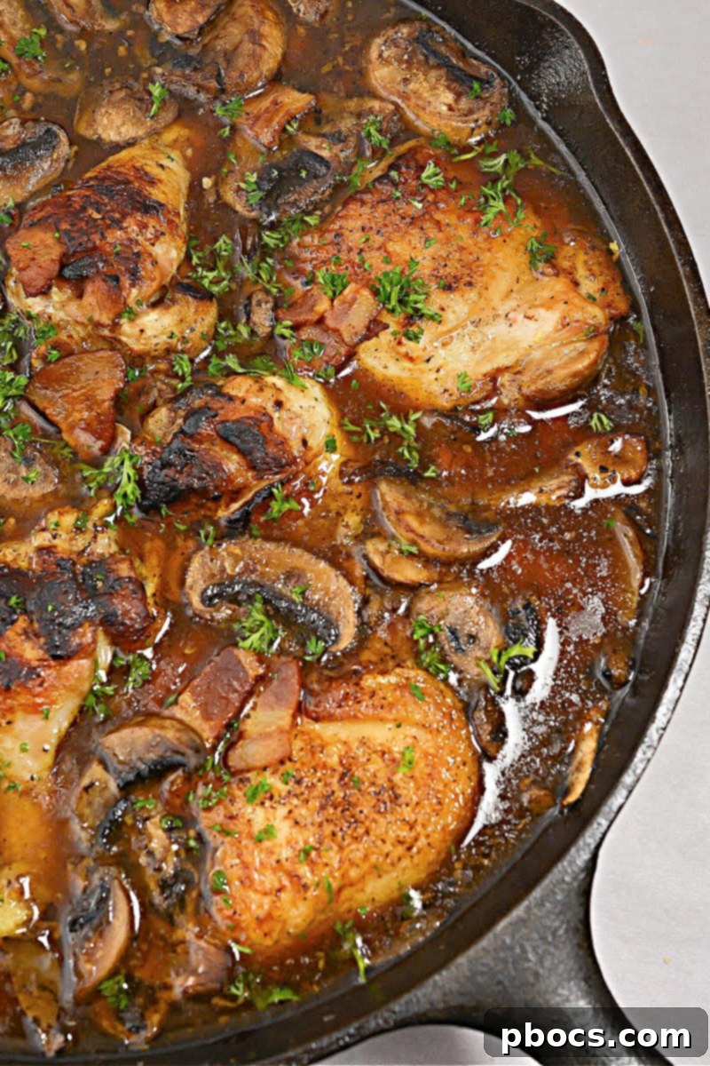 Keto Chicken Coq Au Vin