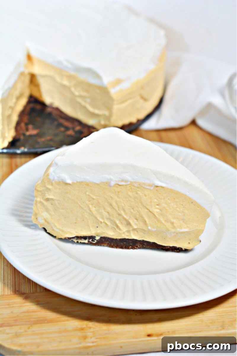 Keto Pumpkin Spice Mousse Cake 7 Keto Pumpkin Mousse Cake - Elegant dessert ideas