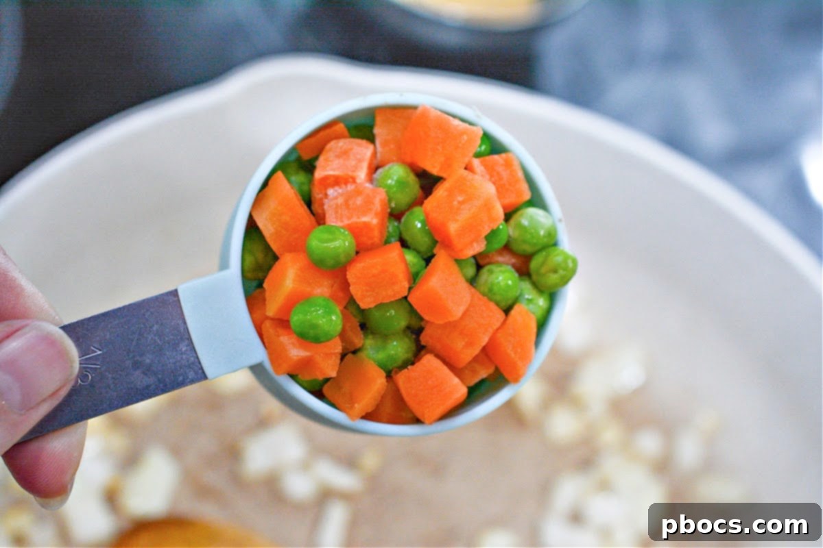 Sautéing Onions for Fried Rice