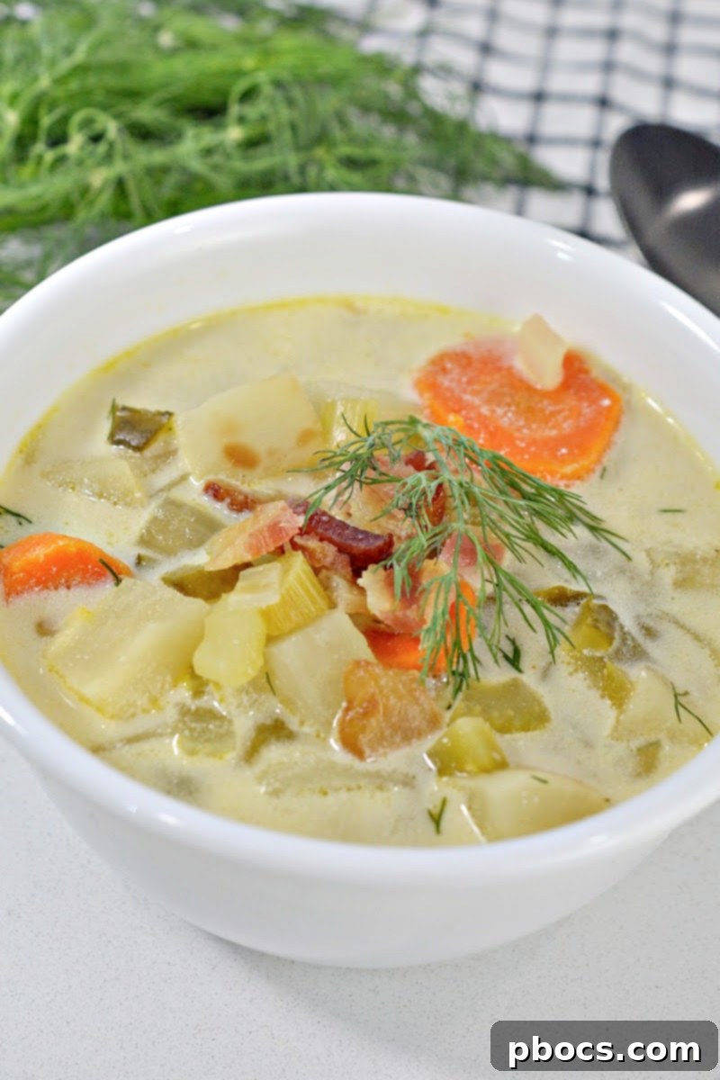 A ladle serving a bowl of creamy dill pickle soup with fresh dill