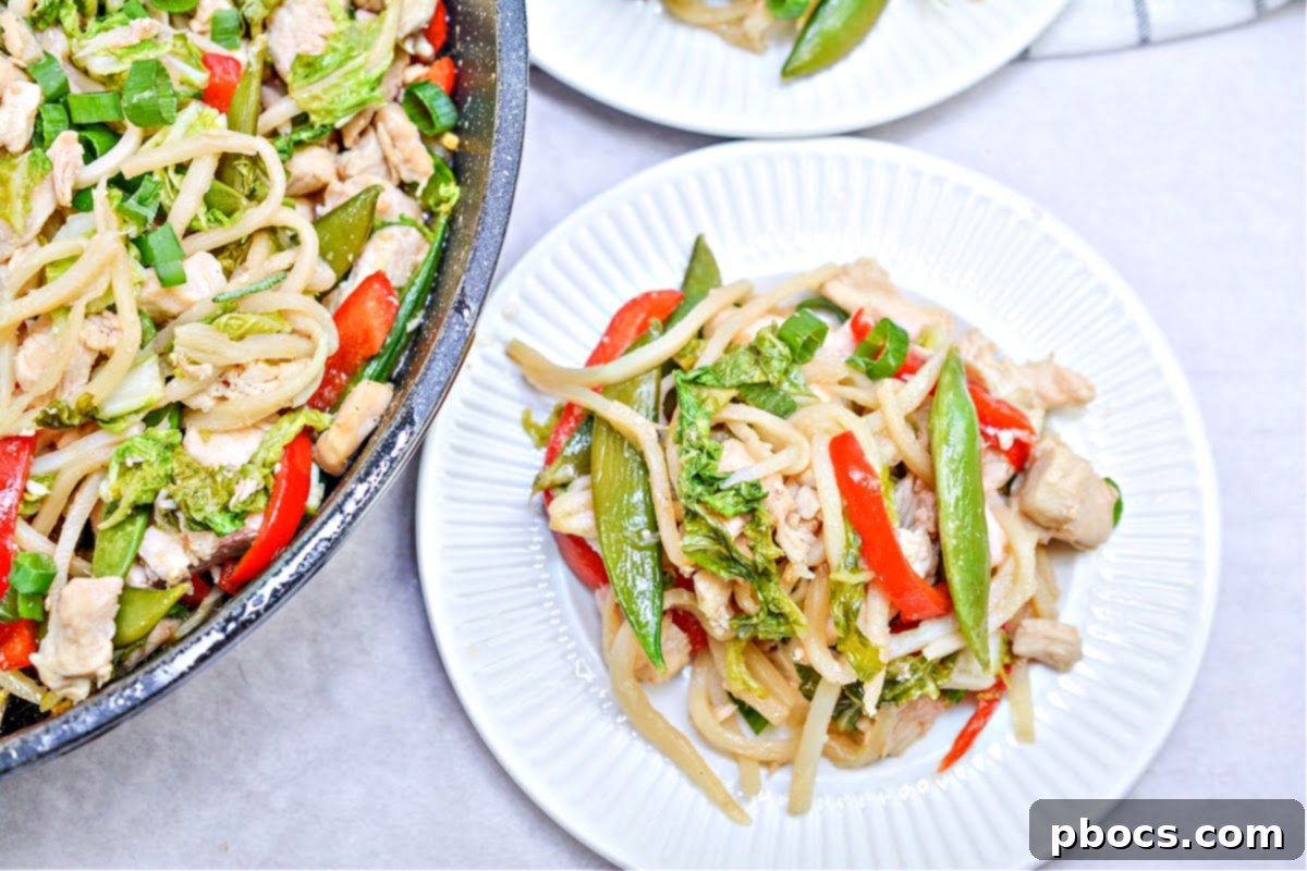 Close-up of Low Carb Chicken Chow Mein, showcasing the stir-fried noodles and sauce.