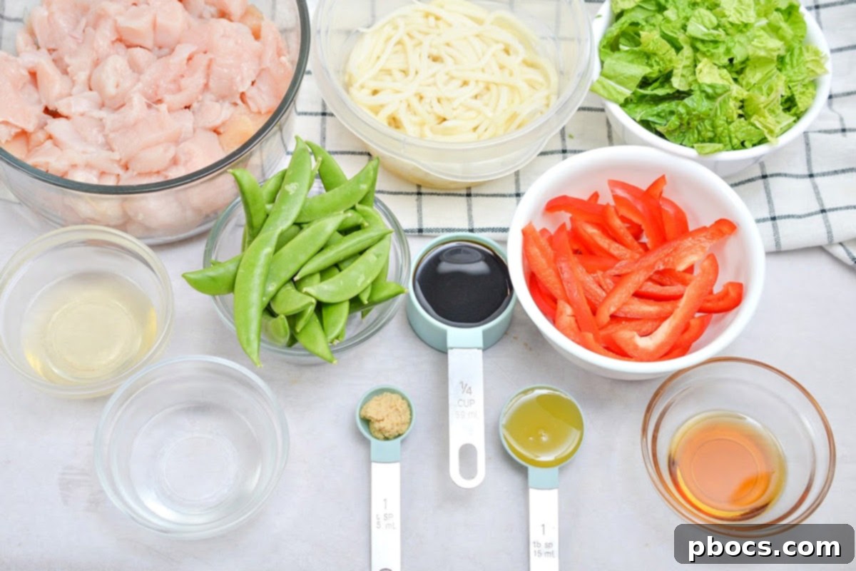 Low Carb Chicken Chow Mein served in a bowl, ready to eat.