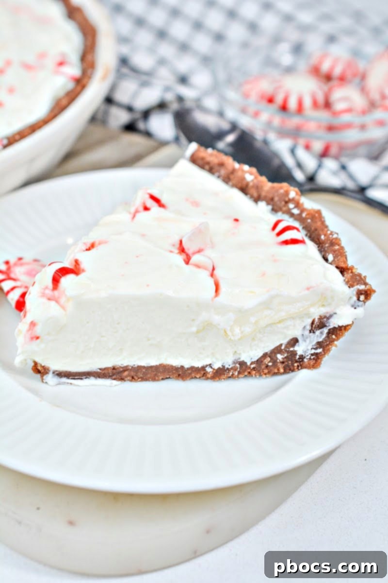 Delicious Keto Candy Cane Cheesecake with crushed peppermint topping