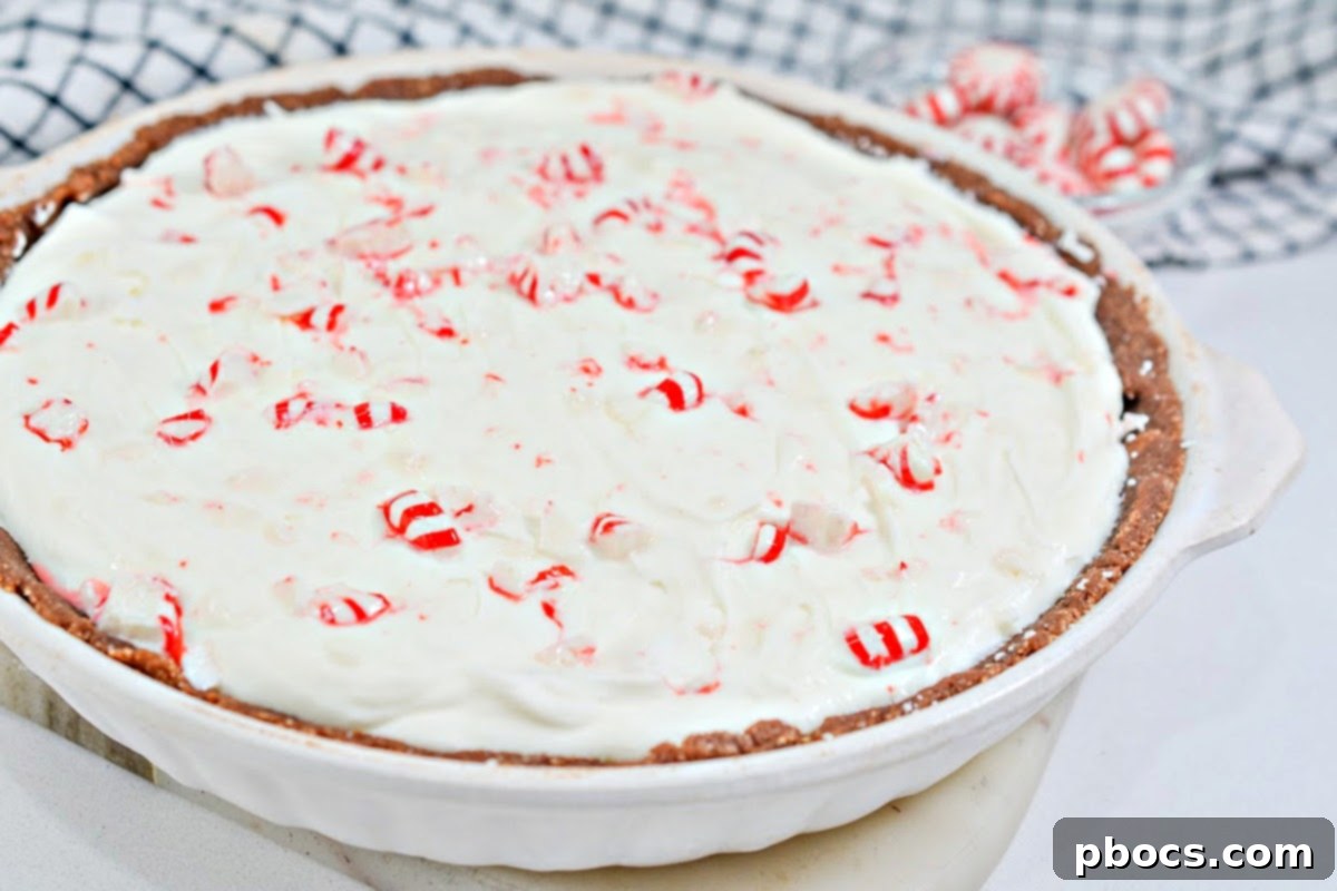 Sprinkling crushed peppermint candies on top of the cheesecake