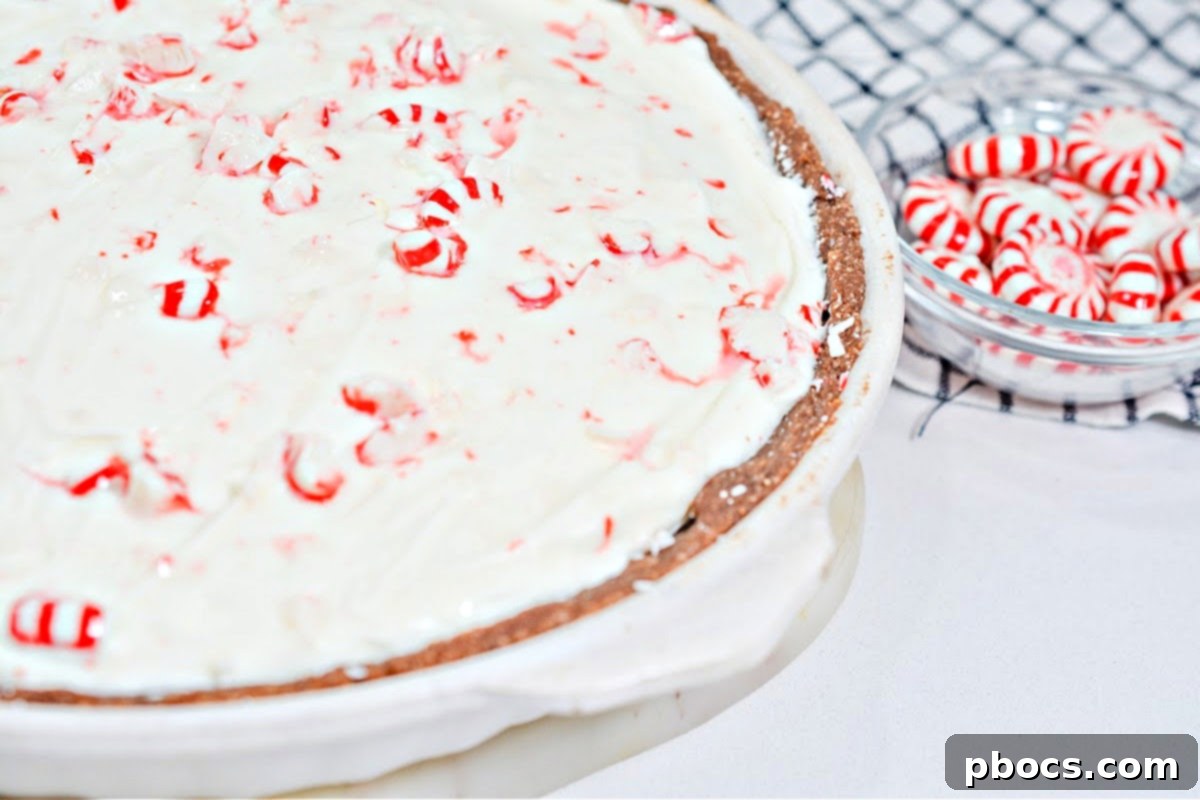 Crushed sugar-free peppermint candies for topping a cheesecake