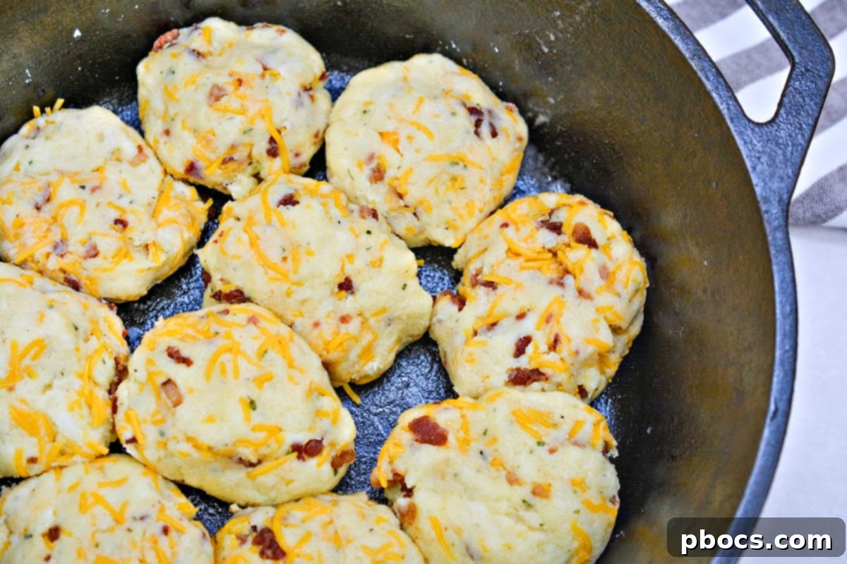 Keto Crave Biscuits 12 Keto Crack Biscuits - Step 5: Arranging the formed biscuits in a greased cast iron skillet.