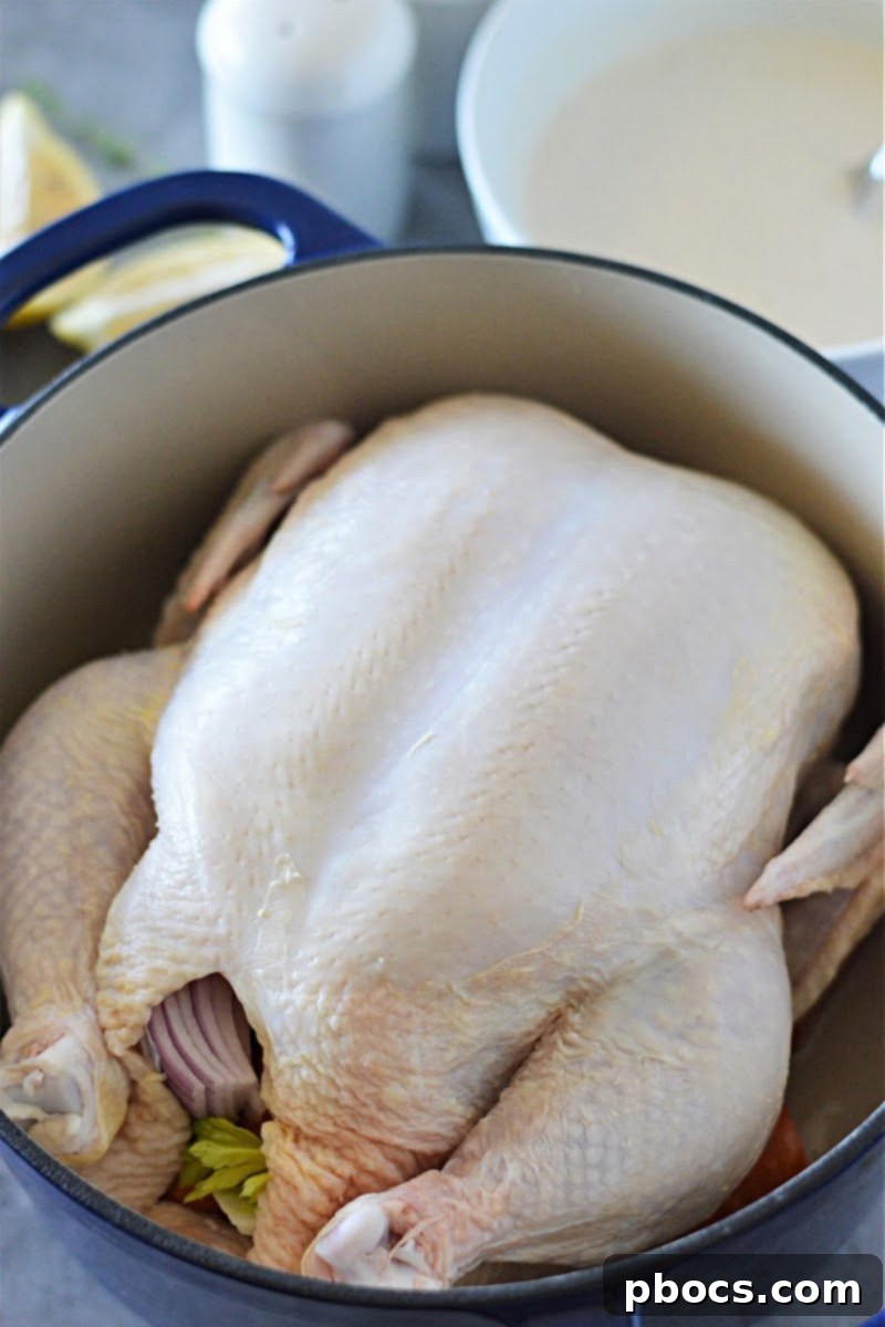 Mayonnaise-Crusted Roast Chicken 11 Mayo Roasted Chicken