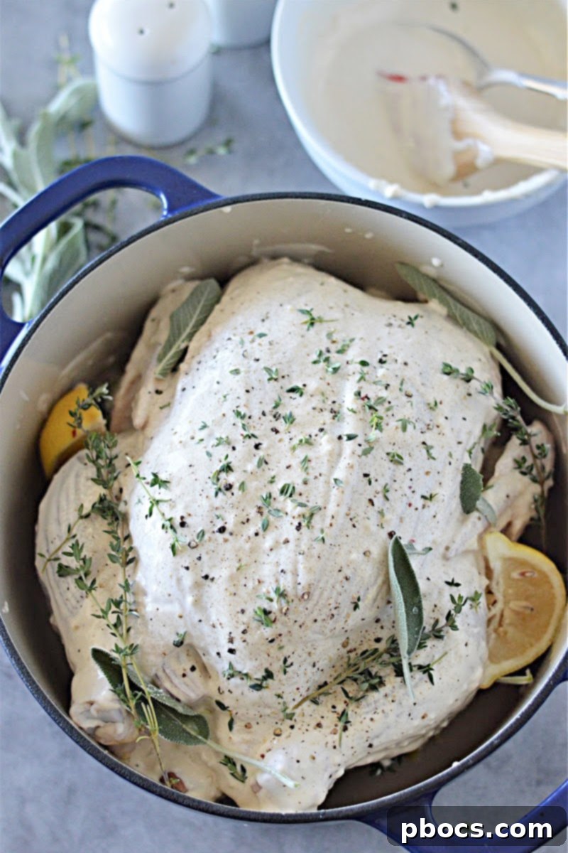 Mayonnaise-Crusted Roast Chicken 14 Mayo Roasted Chicken