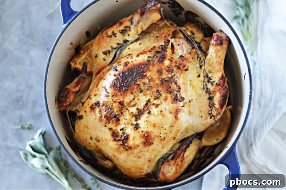 Mayonnaise-Crusted Roast Chicken 15 Mayo Roasted Chicken