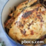 Mayonnaise-Crusted Roast Chicken 17 Mayo Roasted Chicken