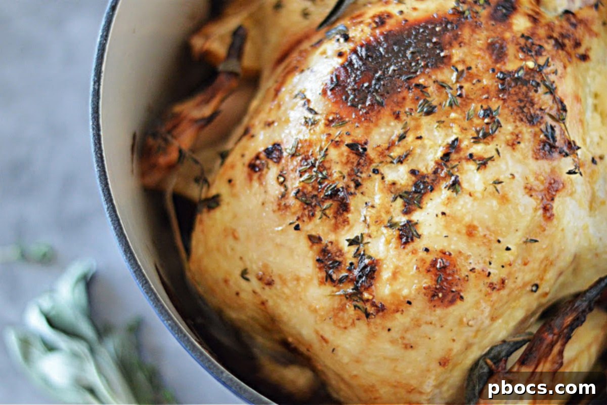 Mayonnaise-Crusted Roast Chicken 3 Mayo Roasted Chicken