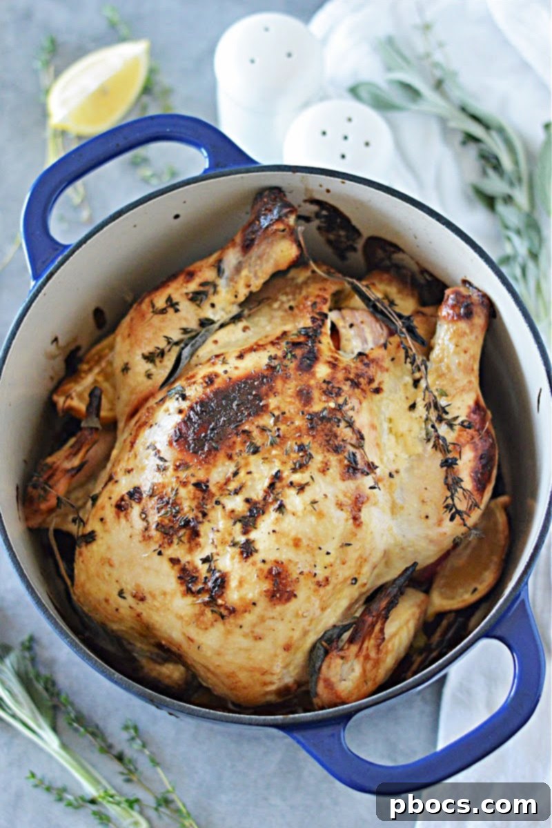 Mayonnaise-Crusted Roast Chicken 4 Mayo Roasted Chicken