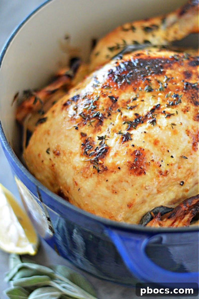 Mayonnaise-Crusted Roast Chicken 5 Mayo Roasted Chicken