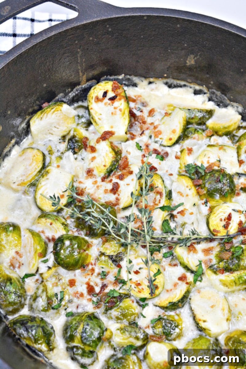 Keto Brussels Sprouts Gratin 7 Plated Keto Au Gratin Brussels Sprouts, ready to be served as a delicious side dish