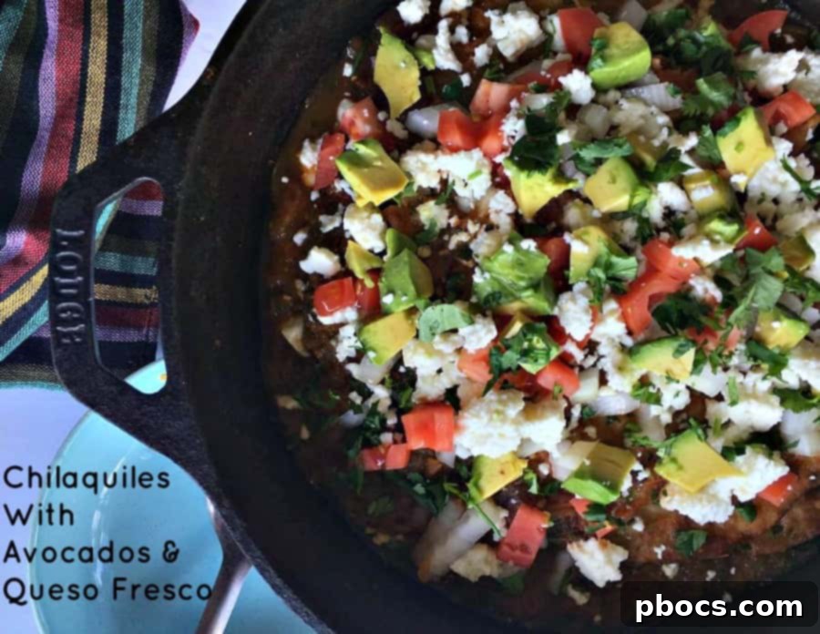 Delicious Chilaquiles With Avocados & Queso Fresco, a Mexican breakfast or brunch classic, topped with fresh ingredients.