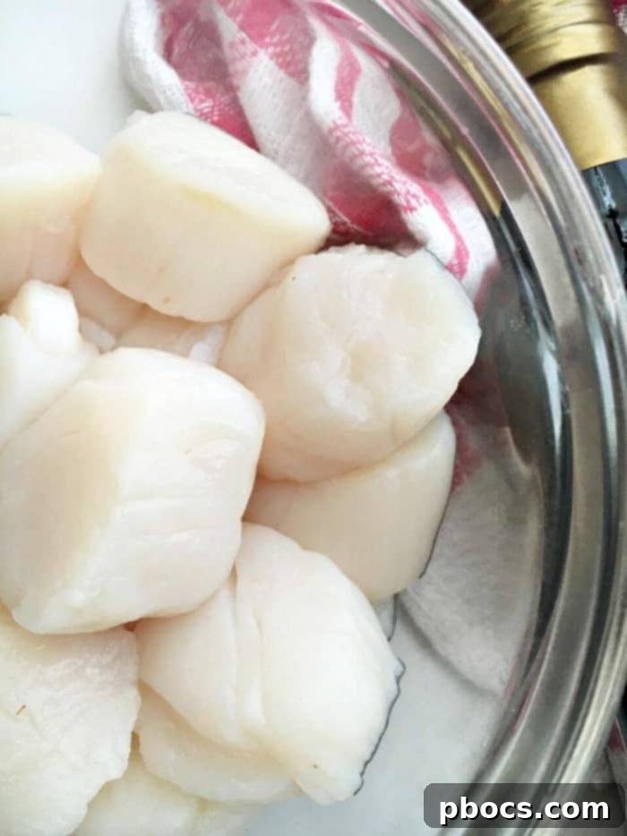 Raw sea scallops seasoned generously with salt and freshly ground black pepper, ready for searing.