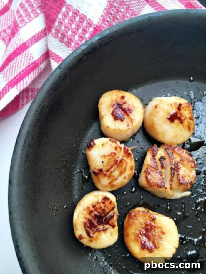 Pan-seared scallops cooking in a hot skillet with olive oil, showing a developing golden-brown crust.