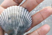 Our Debut Domestic Getaway