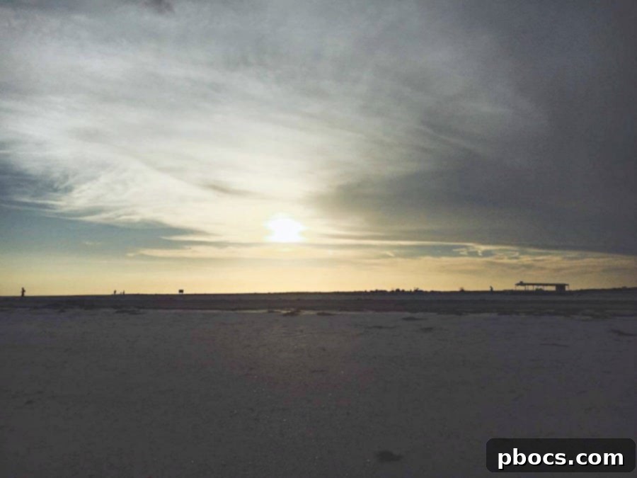 Family enjoying a sunset cruise in Tarpon Springs