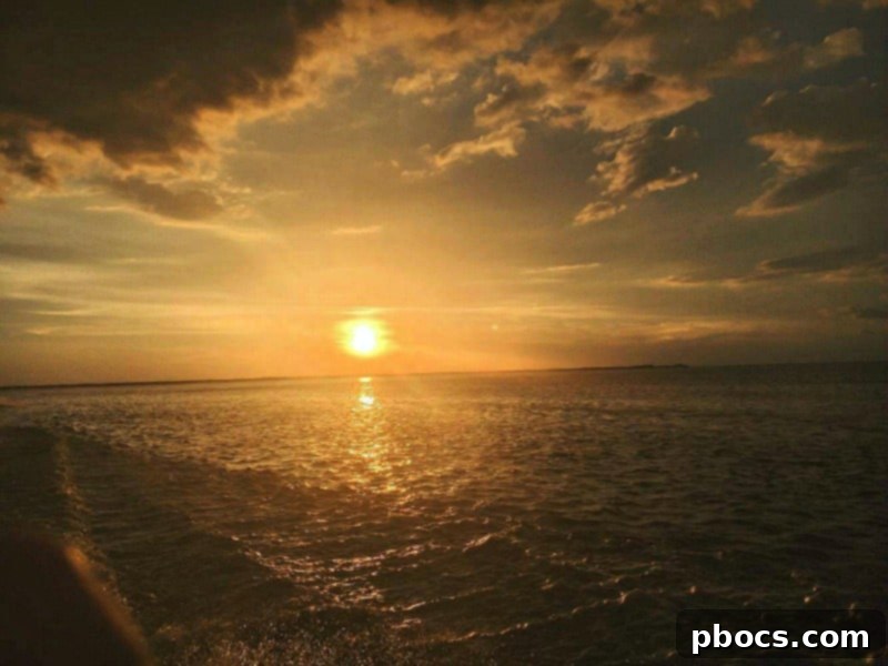 Stunning sunset view from the Tarpon Springs cruise