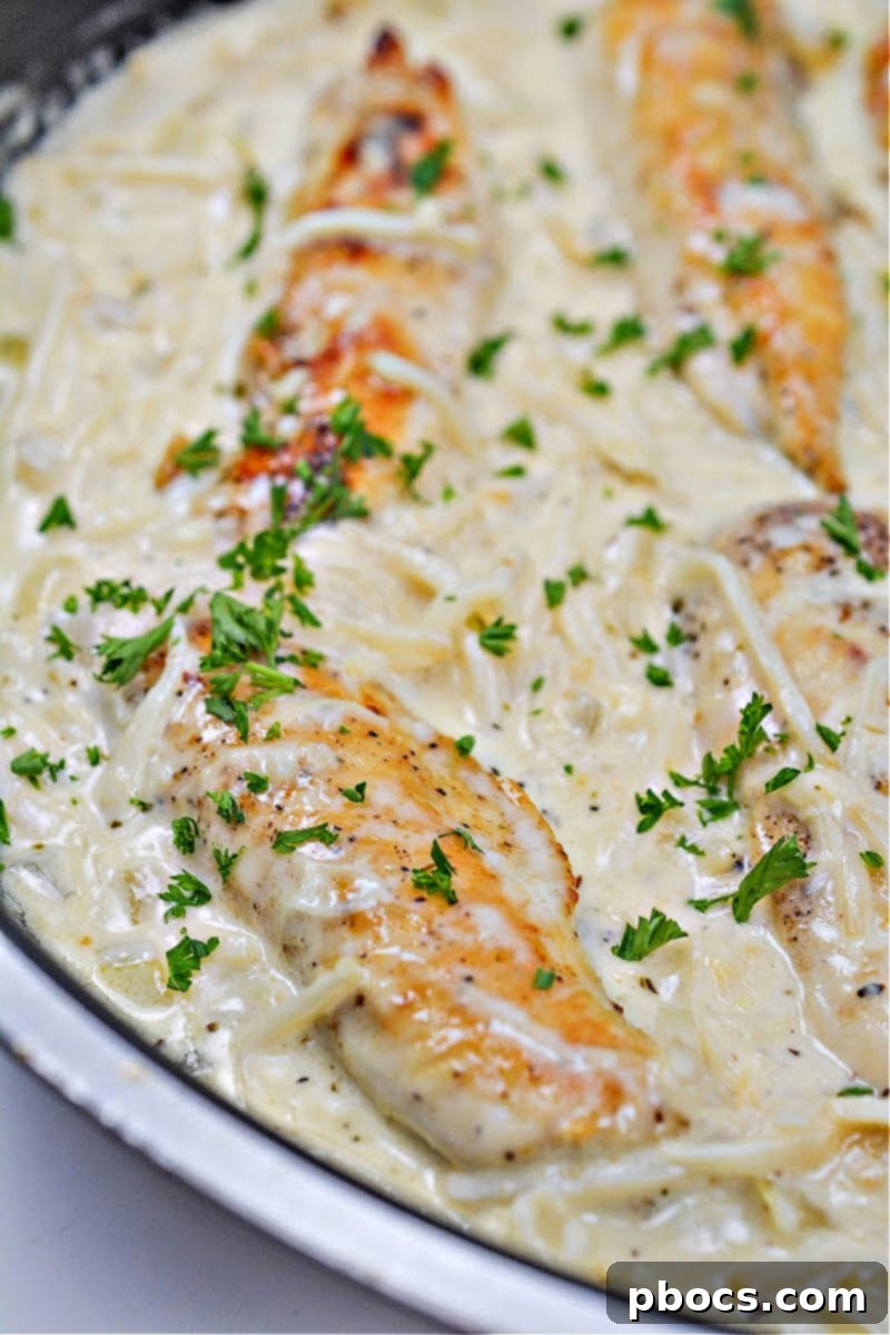 Guilt-Free Creamy Caesar Chicken Pasta 2 Low-Carb Chicken Caesar Pasta