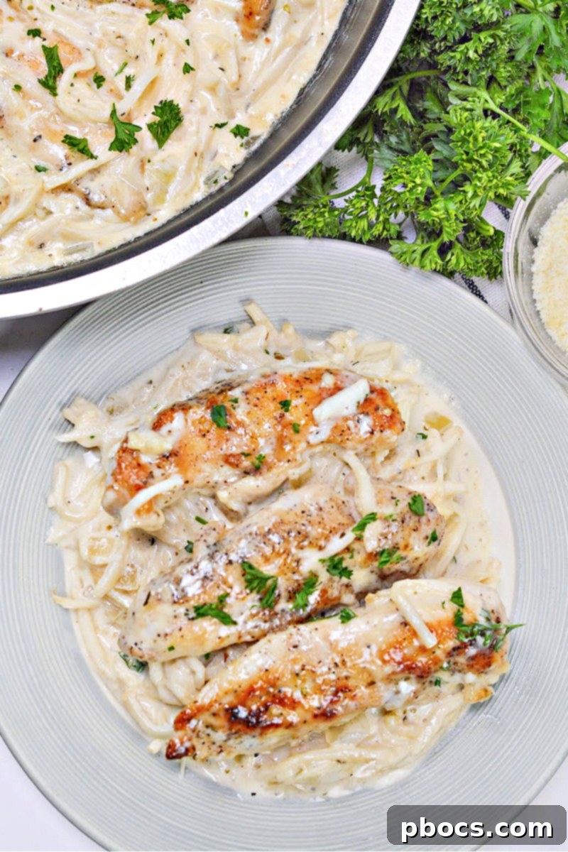 Guilt-Free Creamy Caesar Chicken Pasta 6 Low-Carb Chicken Caesar Pasta