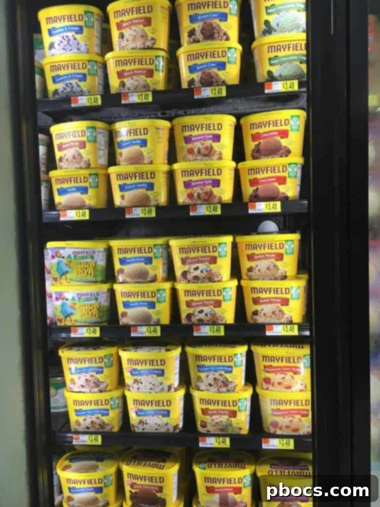 A scoop of Mayfield® Turtle Tracks ice cream, highlighting its rich texture and delicious mix-ins