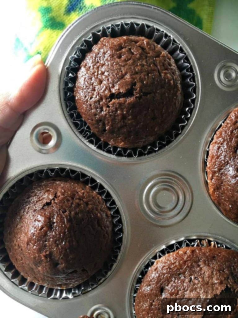 Freshly baked chocolate cupcakes cooling on a wire rack