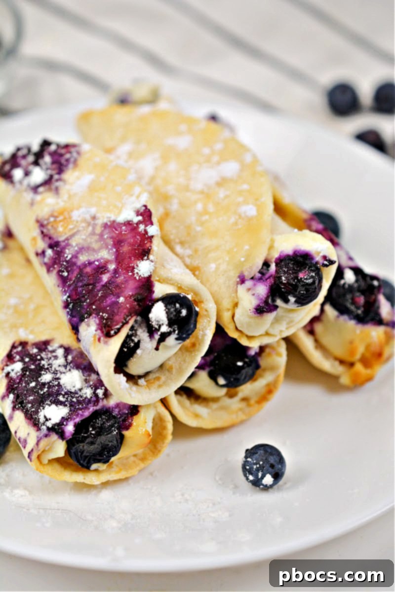 Crispy Keto Blueberry Cream Cheese Roll-Ups, golden brown and dusted with sweetener