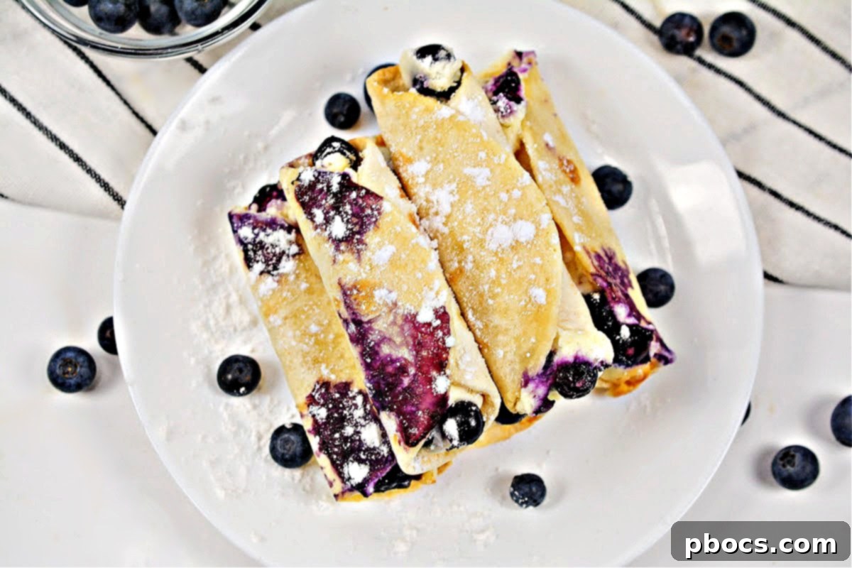Crispy Keto Blueberry Cream Cheese Roll-Ups arranged artfully from an aerial perspective