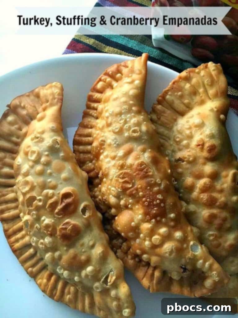 Turkey Stuffing Cranberry Empanadas 2 Delicious Turkey, Stuffing & Cranberry Empanadas with Craisins