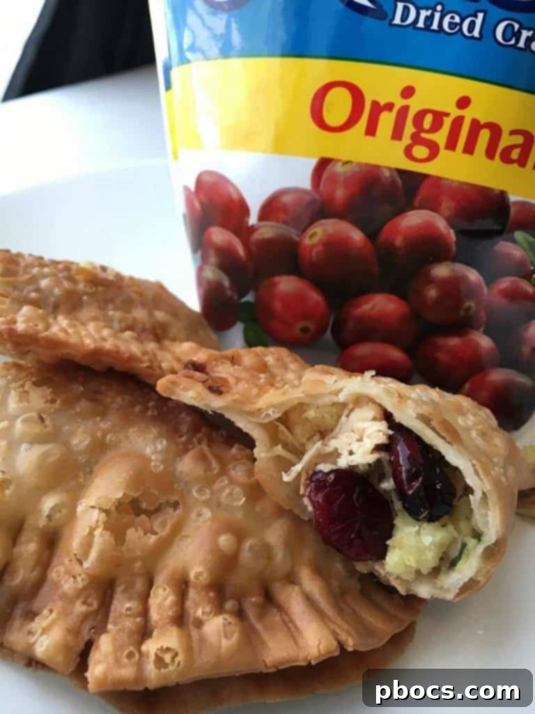 Turkey Stuffing Cranberry Empanadas 4 Plated Turkey, Stuffing & Cranberry Empanadas with festive garnish