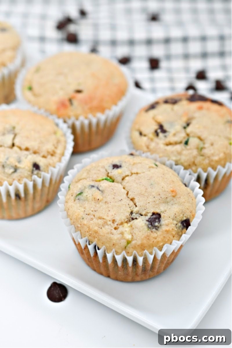 Irresistible Keto Chocolate Chip Zucchini Muffins 3 Delicious Keto Chocolate Chip Zucchini Muffins ready to eat